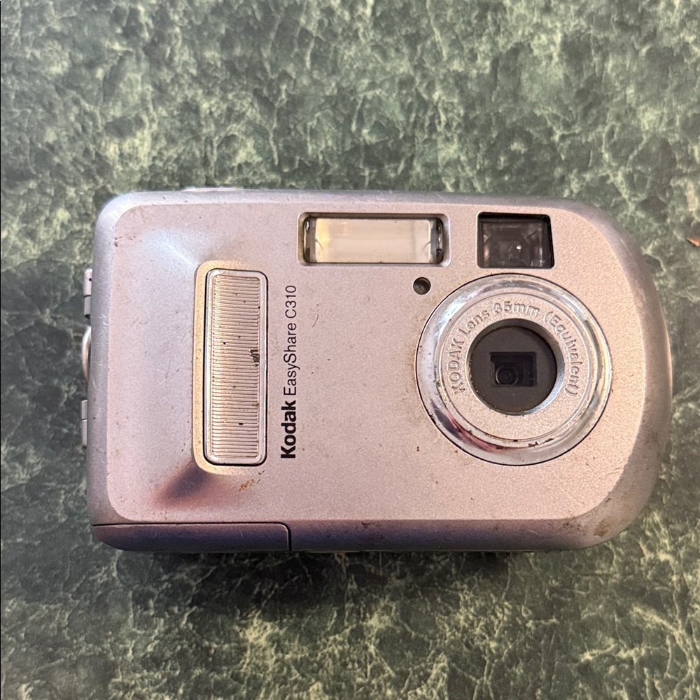 Kodak EasyShare C30 Metallic Digital Camera